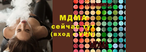 гидра Михайловск