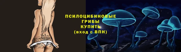 ГАЛЛЮЦИНОГЕННЫЕ ГРИБЫ Михайлов