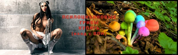 гидра Михайловск