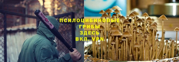 эйфоретик Мегион