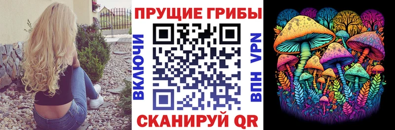 Псилоцибиновые грибы MAGIC MUSHROOMS  Купить закладки  Киреевск 